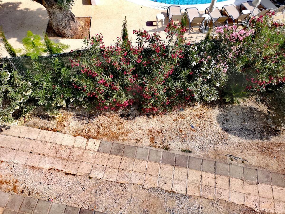 Faneromeni Court Lägenhet Paphos Exteriör bild